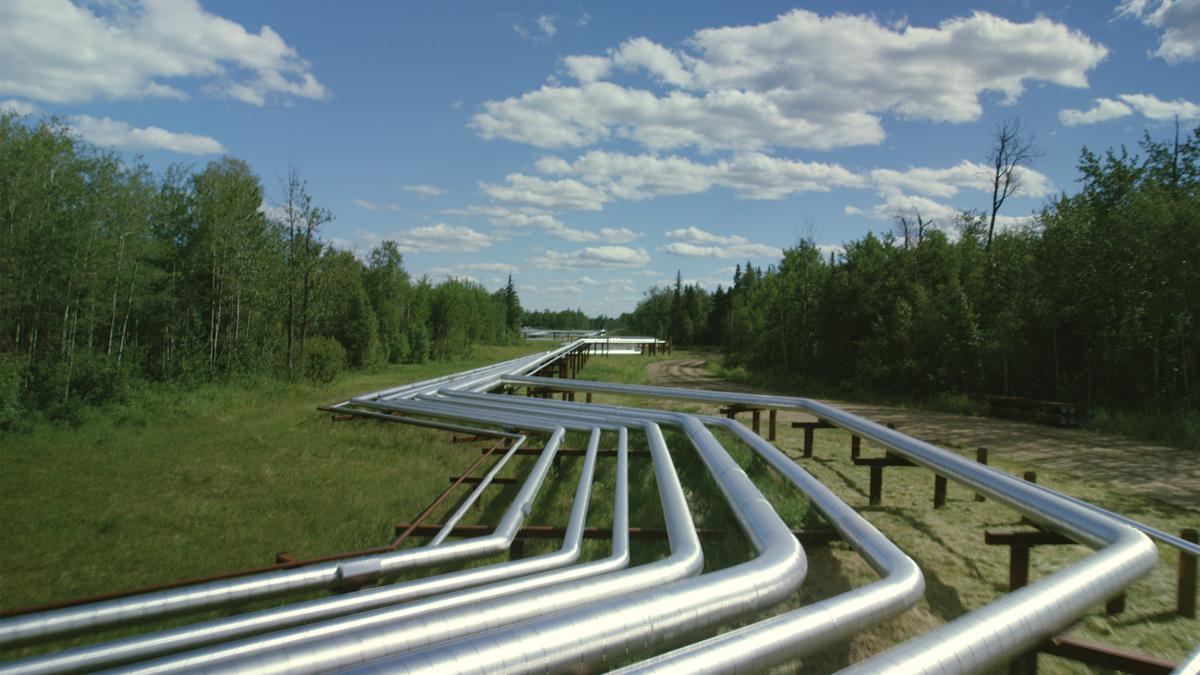 Tara Energy Services | Oil & Gas Production Testing Experts